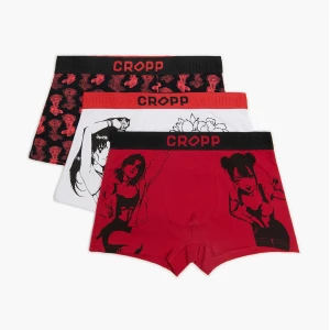 Obrázek produktu Cropp - Sada 3 kusů boxerek s potiskem - červená