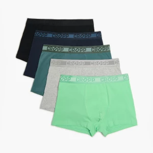 Obrázek produktu Cropp - Sada 5 kusů boxerek basic - zelená