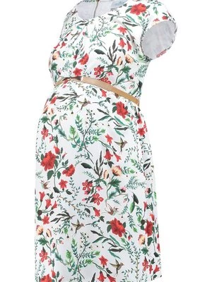 Obrázek produktu Denní šaty Spring Maternity