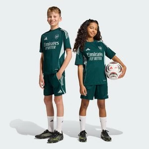 Obrázek produktu Dětské tréninkové šortky Arsenal Tiro 25 Competition Adidas