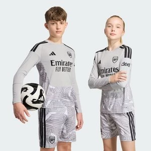 Obrázek produktu Dětský brankářský dres Arsenal FC 26/27 Adidas