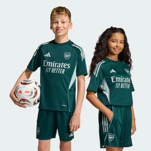 Obrázek produktu Dětský tréninkový dres Arsenal Tiro 25 Competition Adidas