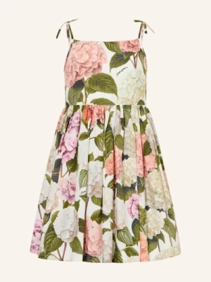 Obrázek produktu Dolce & Gabbana Šaty bílá / růžová / zelená