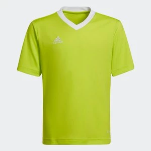 Obrázek produktu Dres Entrada 22 Adidas