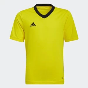 Obrázek produktu Dres Entrada 22 Adidas
