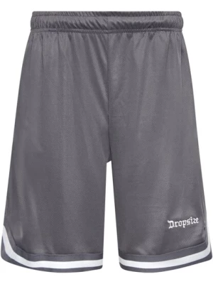 Obrázek produktu Dropsize Kalhoty  šedá / bílá
