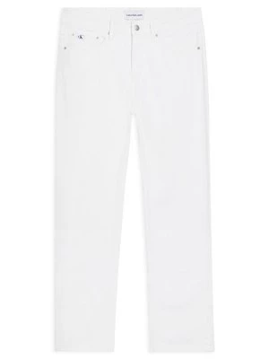 Obrázek produktu Džíny Straight Fit Calvin Klein Jeans
