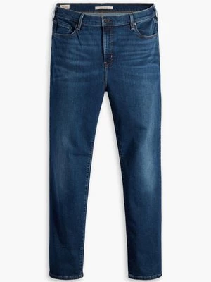 Obrázek produktu Džíny Straight Fit Levi's® Plus