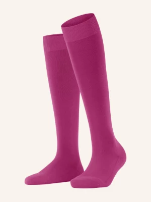 Obrázek produktu Falke Podkolenky Climawool 8390 berry