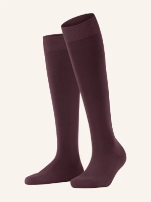 Obrázek produktu Falke Podkolenky Climawool 8596 barolo