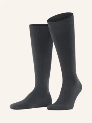 Obrázek produktu Falke Podkolenky Ultra Energizing 3110 anthracite
