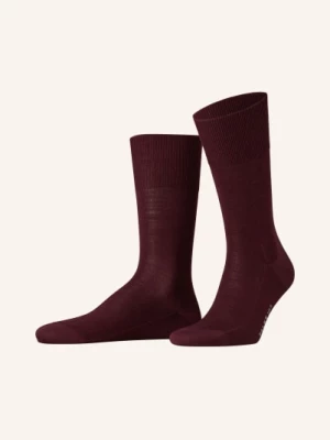Obrázek produktu Falke Ponožky Luxury No. 6 8596 barolo