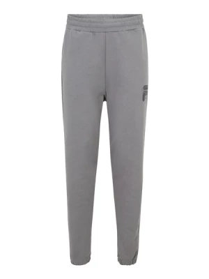 Obrázek produktu FILA Kalhoty  šedá