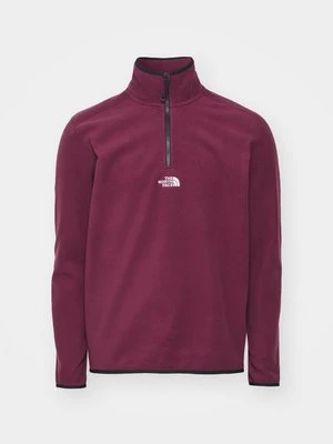 Obrázek produktu Fleecová mikina The North Face