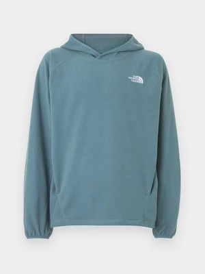 Obrázek produktu Fleecová mikina The North Face