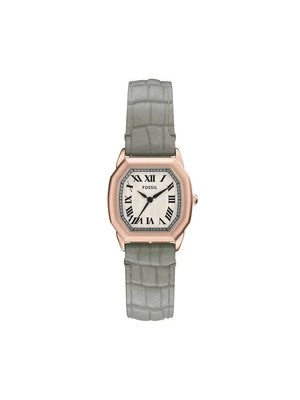Obrázek produktu Fossil Hodinky Harlow ES5435 Šedá