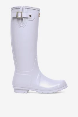 Obrázek produktu Holínky Hunter