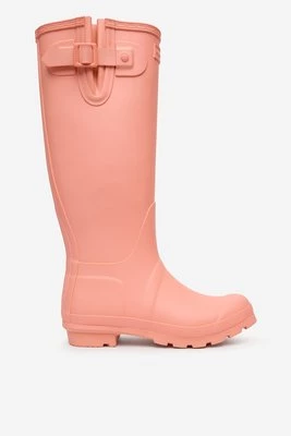 Obrázek produktu Holínky Hunter