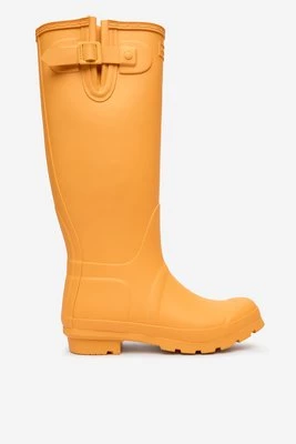 Obrázek produktu Holínky Hunter