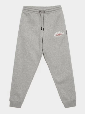 Obrázek produktu Hoodrich Kalhoty Bind