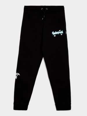 Obrázek produktu Hoodrich Kalhoty Graffiti - Ribbed Cuff Jogger