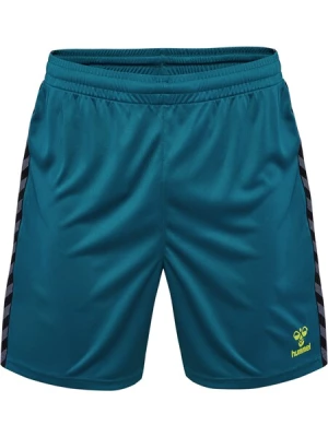 Obrázek produktu Hummel Sportovní kalhoty 'Authentic'  azurová modrá / šedá / světle zelená / černá