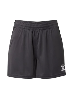 Obrázek produktu Hummel Sportovní kalhoty 'Authentic'  šedá / antracitová / bílá
