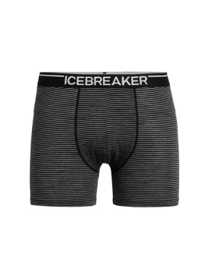 Obrázek produktu ICEBREAKER Sportovní spodní prádlo 'Anatomica'  šedá