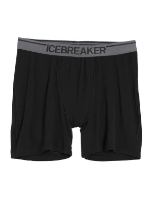 Obrázek produktu ICEBREAKER Sportovní spodní prádlo 'Anatomica'  tmavě šedá / černá