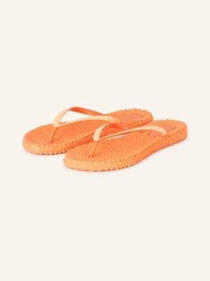 Obrázek produktu Ilse Jacobsen Žabky cheerful01 S Ozdobnými Kamínky 349 hot orange