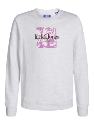 Obrázek produktu Jack & Jones Junior Mikina 'Lafayette'  světle béžová / šedý melír / světle fialová / černá