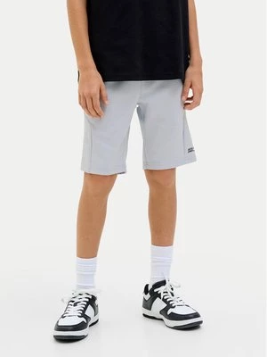 Obrázek produktu Jack & Jones Junior Sportovní kraťasy Gordon Fusion 12274667 Šedá Slim Fit