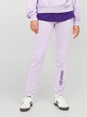 Obrázek produktu JJXX Teplákové kalhoty Riley 12250114 Fialová Slim Fit