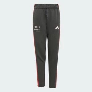 Obrázek produktu KALHOTY AUDI REVOLUT F1 TEAM DNA Adidas