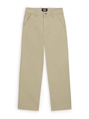 Obrázek produktu Kalhoty Dickies