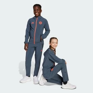 Obrázek produktu Kalhoty FC Bayern Tiro 25 Competition Vis Tech Travel Adidas