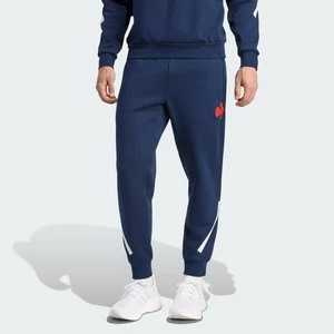 Obrázek produktu Kalhoty France Travel Adidas
