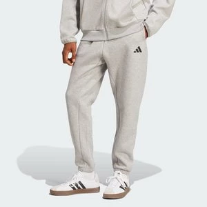 Obrázek produktu Kalhoty Future Icons Small Logo Adidas