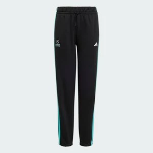 Obrázek produktu KALHOTY MERCEDES - AMG PETRONAS FORMULA 1 TEAM DNA Adidas