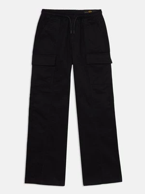 Obrázek produktu Kapsáče alpha industries