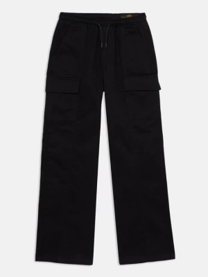 Obrázek produktu Kapsáče alpha industries