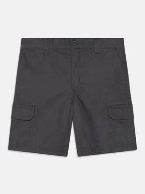 Obrázek produktu Kapsáče Dickies