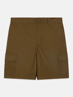 Obrázek produktu Kapsáče Dickies