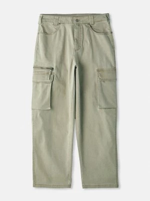 Obrázek produktu Kapsáče Dickies