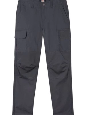 Obrázek produktu Kapsáče Dickies