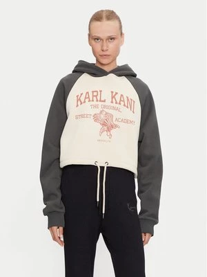 Obrázek produktu Karl Kani Mikina Street Academy 61210023 Béžová Regular Fit