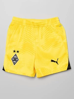 Obrázek produktu Klubové oblečení Puma