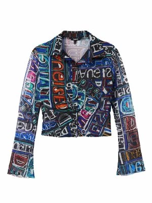 Obrázek produktu Košilová halenka Desigual