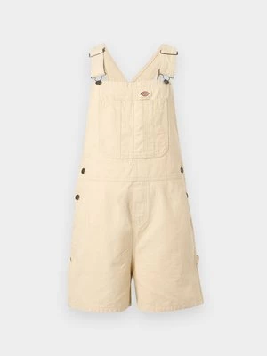 Obrázek produktu Lacláče Dickies