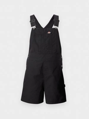 Obrázek produktu Lacláče Dickies